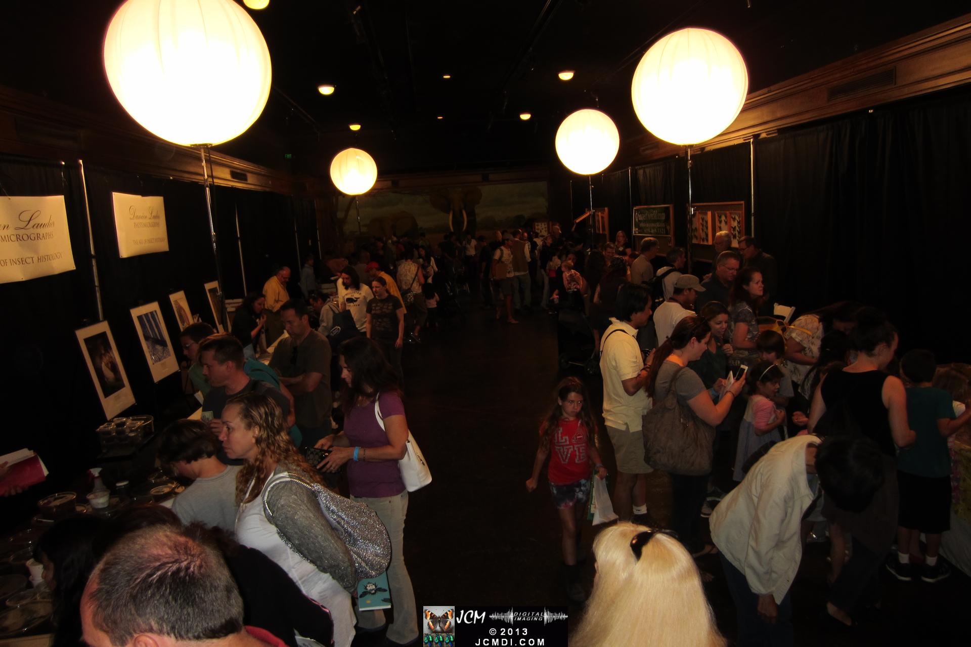 LANHM Bug Fair 2013 crowds and displays